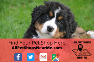 Quick Tag in Beckley, WV allpetshopsnearme.com All Pet Shops Near Me Pet supply store