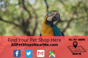 Find your Pet Shop - AllPetShopsNearMe - All Pet Shops Near Me 14