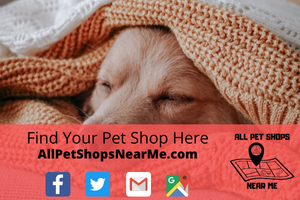 Find your Pet Shop - AllPetShopsNearMe - All Pet Shops Near Me 16
