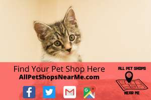 Petco in Sheridan, WY allpetshopsnearme.com All Pet Shops Near Me Pet store
