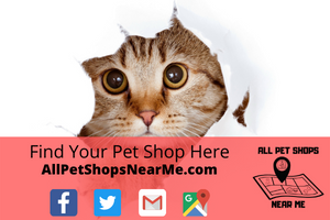 All The Best Pet Care Bellevue in Bellevue, WA allpetshopsnearme.com All Pet Shops Near Me Pet store