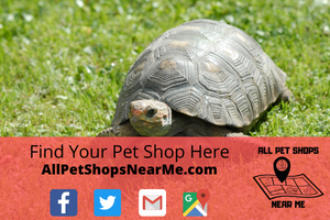 Quick Tag in Payson, UT allpetshopsnearme.com All Pet Shops Near Me Pet supply store
