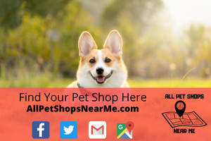 Find your Pet Shop - AllPetShopsNearMe - All Pet Shops Near Me 7