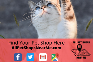 Find your Pet Shop - AllPetShopsNearMe - All Pet Shops Near Me 8